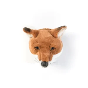 Tête Renard Louis