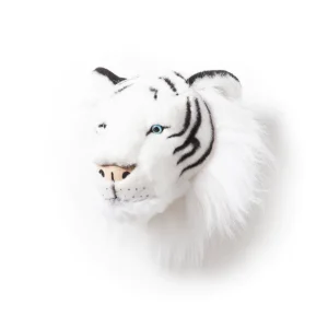 Tête tigre blanc Albert