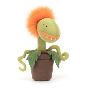 Plante carnivore tammie