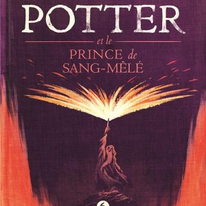 Harry Potter Tome 6 : Harry Potter et le prince de sang-mêlé