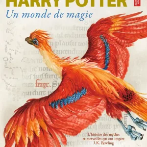 Harry Potter – Un monde de magie
