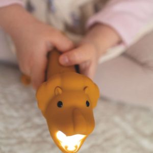 Lampe torche lion