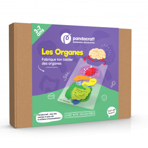 Les organes
