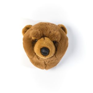Tête d’ours Olivier